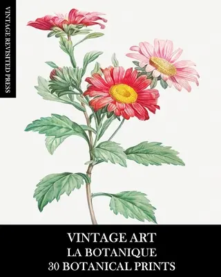 Arte Vintage: La Botanique: 30 Botanical Prints for Framing, Collage, Decoupage and Junk Journals (en inglés) - Vintage Art: La Botanique: 30 Botanical Prints for Framing, Collage, Decoupage and Junk Journals