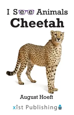 Guepardo - Cheetah