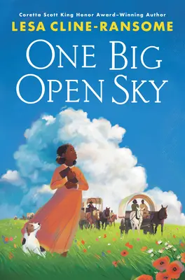 Un gran cielo abierto - One Big Open Sky