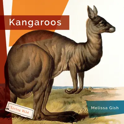 Canguros - Kangaroos