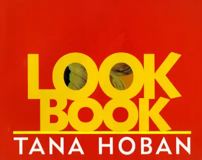 Libro de consulta - Look Book