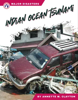 El tsunami del océano Índico - Indian Ocean Tsunami