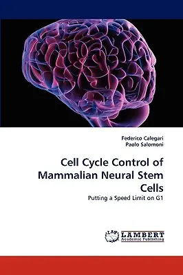 Control del ciclo celular de las células madre neurales de mamíferos - Cell Cycle Control of Mammalian Neural Stem Cells