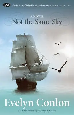 No es el mismo cielo - Not the Same Sky