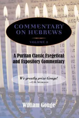 Comentario sobre Hebreos: Exegético y expositivo - Vol. 2 (8-13) - Commentary on Hebrews: Exegetical and Expository - Vol. 2 (8-13)