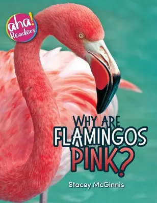 ¿Por qué son rosas los flamencos? - Why Are Flamingos Pink?