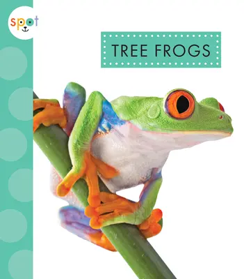 Ranas Arbóreas - Tree Frogs