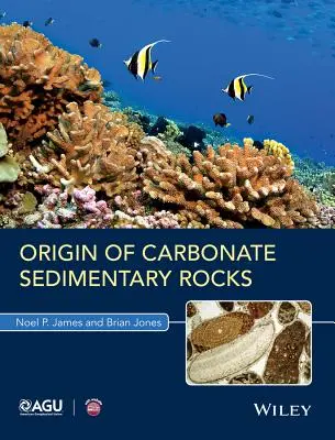 Origen de las rocas sedimentarias carbonatadas - Origin of Carbonate Sedimentary Rocks