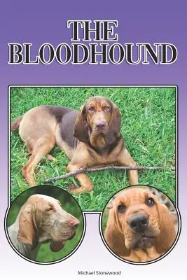 El sabueso: Una guía completa y exhaustiva para principiantes: La compra, la propiedad, la salud, el aseo, la formación, la obediencia, la comprensión - The Bloodhound: A Complete and Comprehensive Beginners Guide To: Buying, Owning, Health, Grooming, Training, Obedience, Understanding