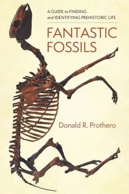 Fósiles fantásticos: Guía para encontrar e identificar vida prehistórica - Fantastic Fossils: A Guide to Finding and Identifying Prehistoric Life