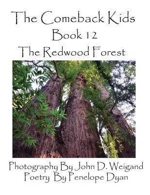 The Comeback Kids, Libro 12, El bosque de secuoyas - The Comeback Kids, Book 12, the Redwood Forest