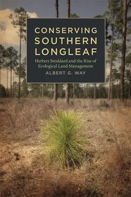 La conservación de la hoja larga del sur: Herbert Stoddard y el auge de la gestión ecológica de la tierra - Conserving Southern Longleaf: Herbert Stoddard and the Rise of Ecological Land Management