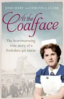 Al pie de la letra: Las memorias de una enfermera de urgencias - At the Coalface: The memoir of a pit nurse