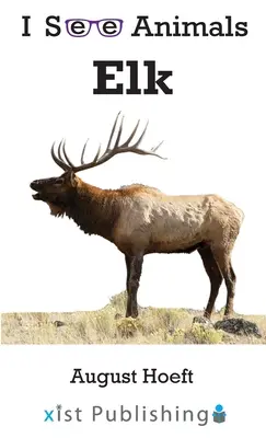 Alce - Elk