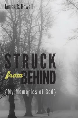 Golpeado por la espalda: Mis recuerdos de Dios - Struck from Behind: My Memories of God