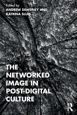 La imagen en red en la cultura postdigital - The Networked Image in Post-Digital Culture