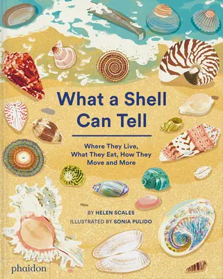 Lo que puede contar una concha - What a Shell Can Tell