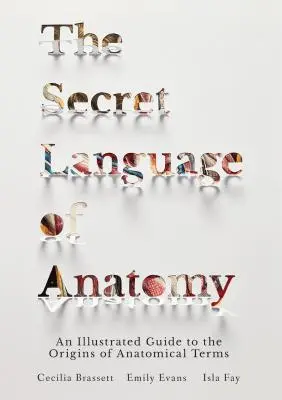 El lenguaje secreto de la anatomía: Guía ilustrada de los orígenes de los términos anatómicos - The Secret Language of Anatomy: An Illustrated Guide to the Origins of Anatomical Terms