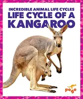 Ciclo de vida de un canguro - Life Cycle of a Kangaroo