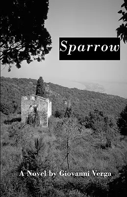 Gorrión - Sparrow