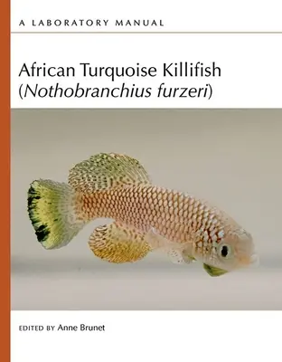 Pez mata turquesa africano (Nothobranchius Furzeri): Manual de laboratorio - African Turquoise Killifish (Nothobranchius Furzeri): A Laboratory Manual