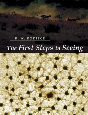 Los primeros pasos para ver - The First Steps in Seeing