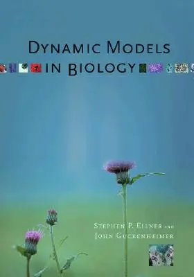 Modelos dinámicos en biología - Dynamic Models in Biology