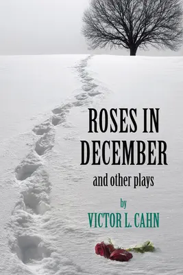 Rosas en diciembre - Roses in December