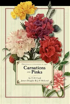 Claveles y rosas - Carnations and Pinks