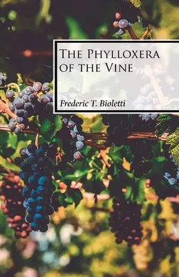 La filoxera de la vid - The Phylloxera of the Vine