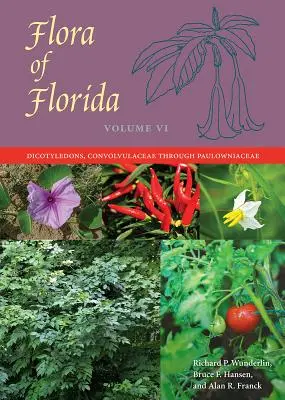 Flora de Florida, Volumen VI: Dicotiledóneas, Convolvuláceas a Paulowniáceas - Flora of Florida, Volume VI: Dicotyledons, Convolvulaceae through Paulowniaceae