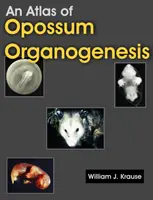 Atlas de la organogénesis de la zarigüeya: El desarrollo de la zarigüeya - An Atlas of Opossum Organogenesis: Opossum Development