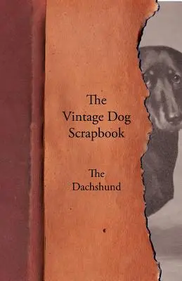 El álbum de recortes de perros de época - El Dachshund - The Vintage Dog Scrapbook - The Dachshund