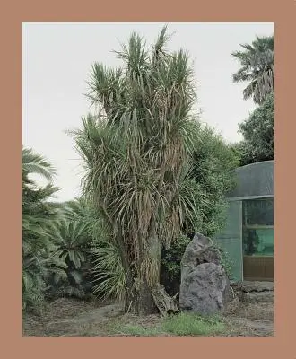 Oksun Kim La isla de Jeju - Oksun Kim: Jeju Island