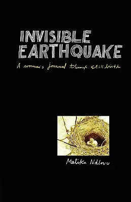 Terremoto invisible. Diario de una mujer que da a luz sin vida - Invisible Earthquake. a Woman's Journal Through Still Birth