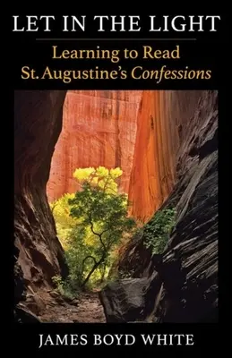 Dejad entrar la luz: Aprendiendo a leer las Confesiones de San Agustín - Let in the Light: Learning to Read St. Augustine's Confessions