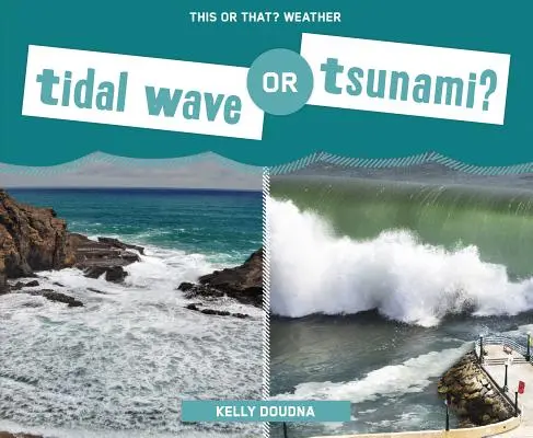 ¿Maremoto o tsunami? - Tidal Wave or Tsunami?