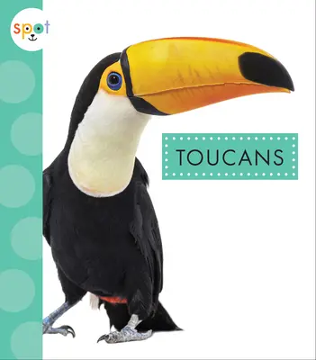 Tucanes - Toucans