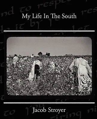 Mi Vida En El Sur - My Life In The South