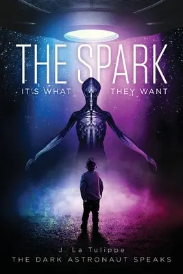 La Chispa: Es lo que Quieren - The Spark: It's What They Want