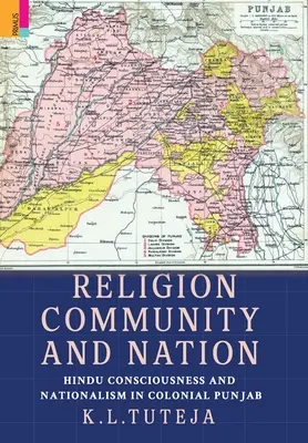 Religión, comunidad y nación: Conciencia hindú y nacionalismo en el Punjab colonial: Conciencia hindú y nacionalismo en el Punjab colonial - Religion, Community and Nation: Hindu Consciousness and Nationalism in Colonial Punjab: Hindu Consciousness and Nationalism in Colonial Punjab