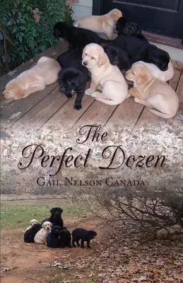 La docena perfecta - The Perfect Dozen