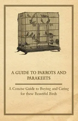 Guía de loros y periquitos - Guía concisa para la compra y el cuidado de estas hermosas aves - A Guide to Parrots and Parakeets - A Concise Guide to Buying and Caring for These Beautiful Birds