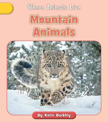 Animales de montaña - Mountain Animals