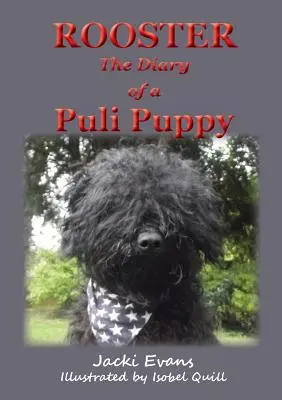 Gallo: diario de un cachorro puli - Rooster - the Diary of a Puli Puppy