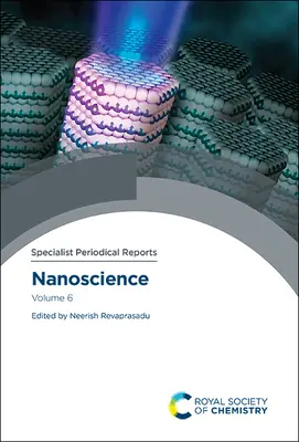 Nanociencia: Volumen 6 - Nanoscience: Volume 6