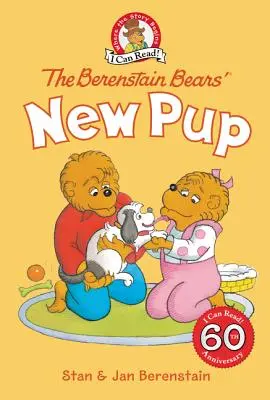 El nuevo cachorro de los osos Berenstain - The Berenstain Bears' New Pup