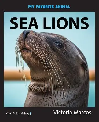 Mi animal favorito: Leones marinos - My Favorite Animal: Sea Lions