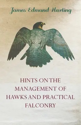 Consejos sobre el manejo de halcones y cetrería práctica - Hints on the Management of Hawks and Practical Falconry