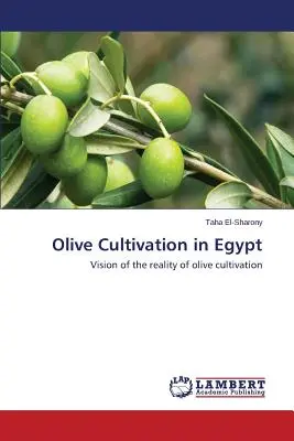 El cultivo del olivo en Egipto - Olive Cultivation in Egypt